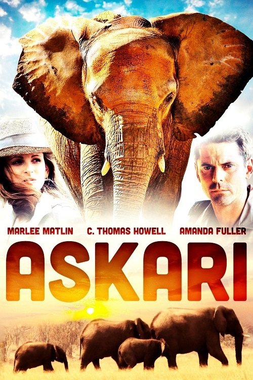 Постер Askari